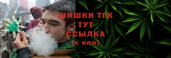тгк Верея